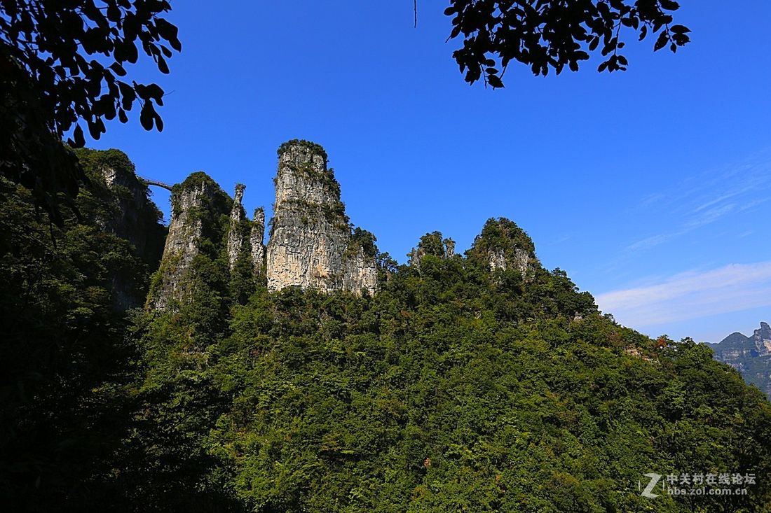 柴埠溪大峡谷